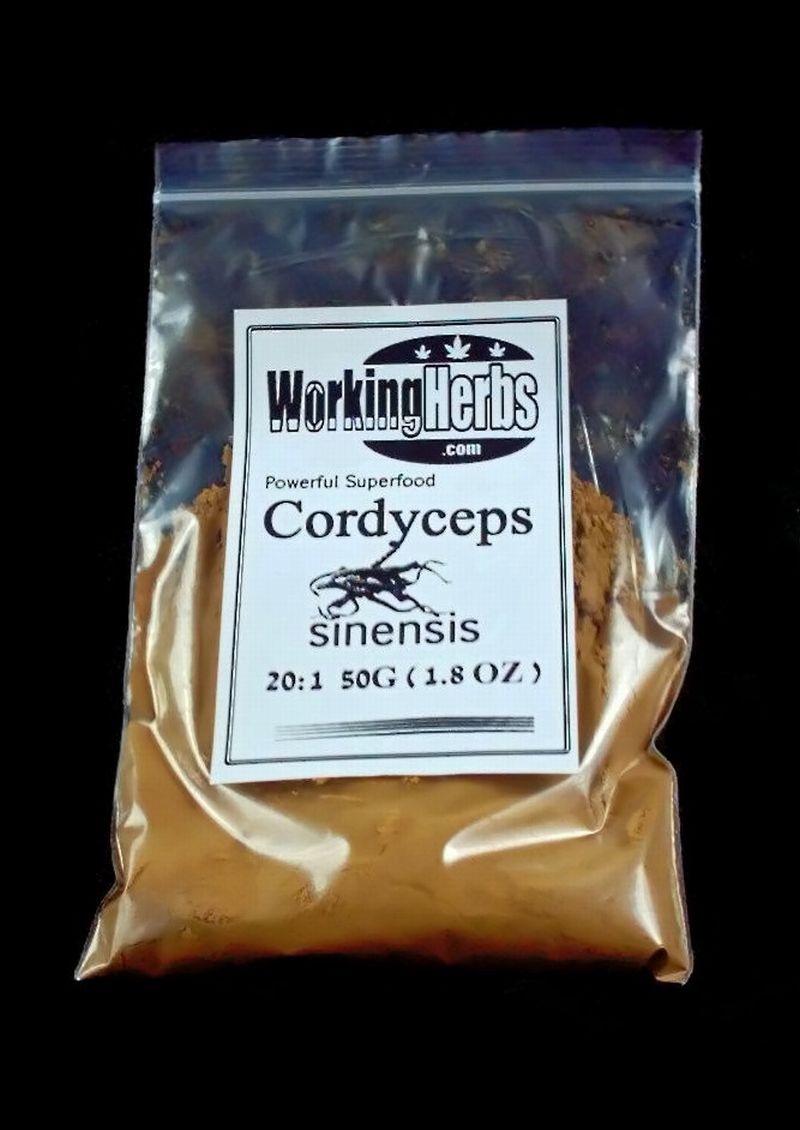 100% Pure Cordyceps Sinensis Mushroom Extract powder 50:1 1.8 oz. Powerful Superfood