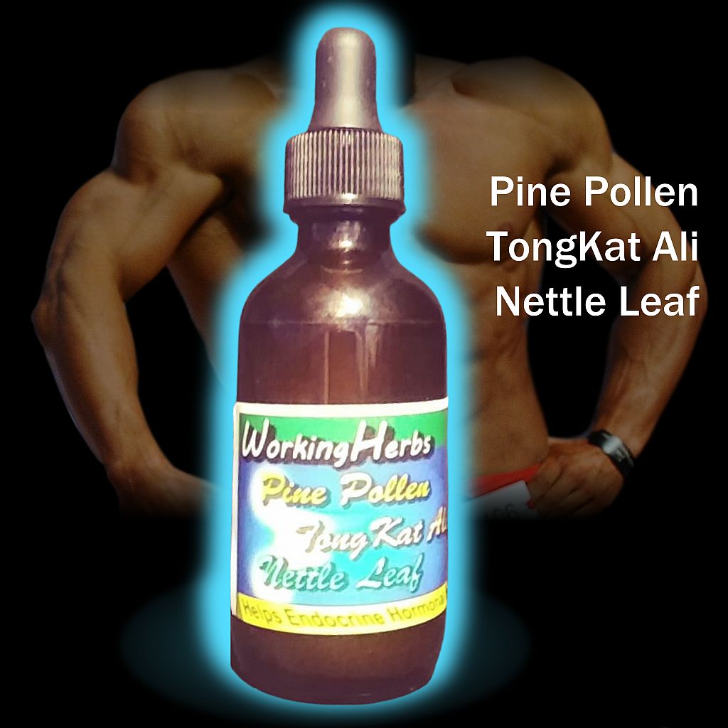 Pine Pollen TongKat Ali Nettle Leaf Tincture Natural Testosterone BOOSTER! 2 oz