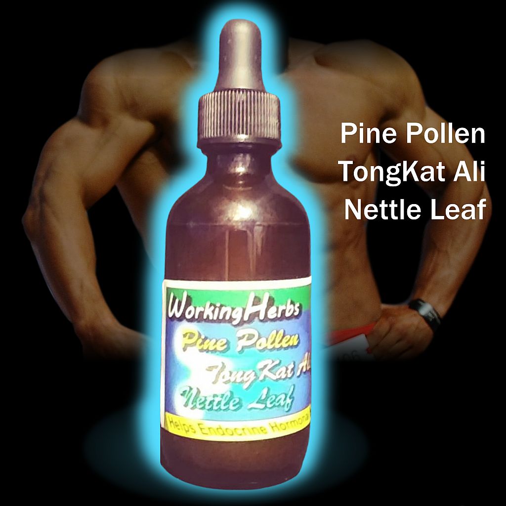 Pine Pollen TongKat Ali Nettle Leaf Tincture Natural Testosterone BOOSTER! 1 oz